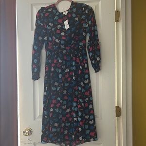 J. Crew Factory Long Sleeve Dress - Black and Blue Floral